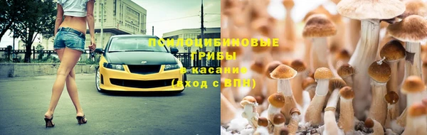дмт Остров