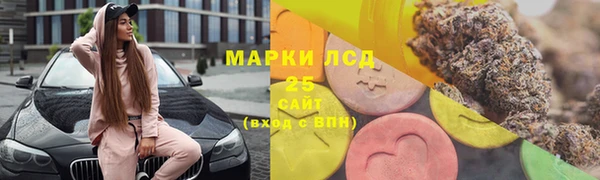 гашик Осинники