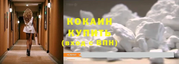 гашик Осинники