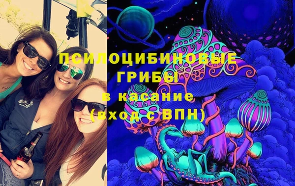 гашик Осинники