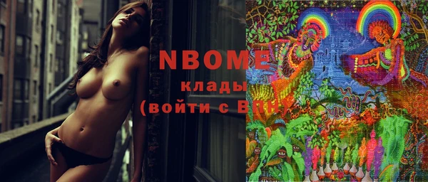 гашик Осинники