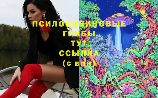 гашик Осинники