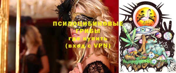 гашик Осинники