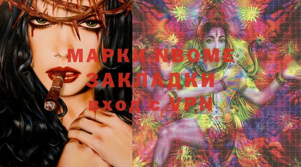 гашик Осинники