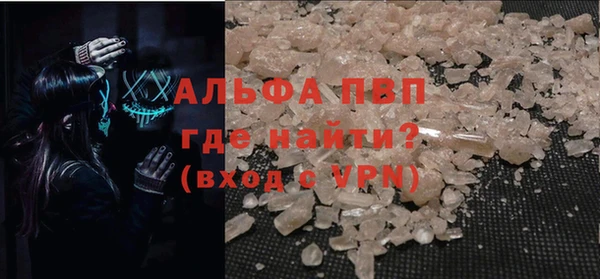 ПСИЛОЦИБИНОВЫЕ ГРИБЫ Няндома