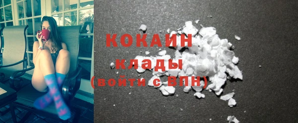 гашик Осинники
