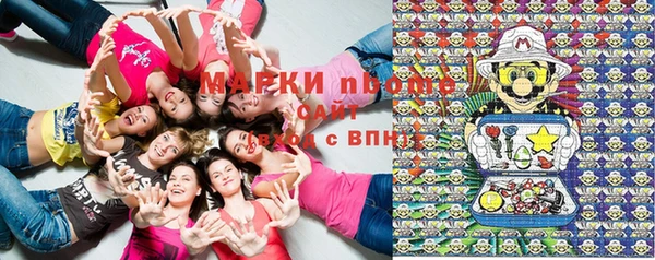гашик Осинники