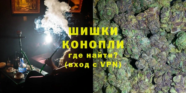 гашик Осинники