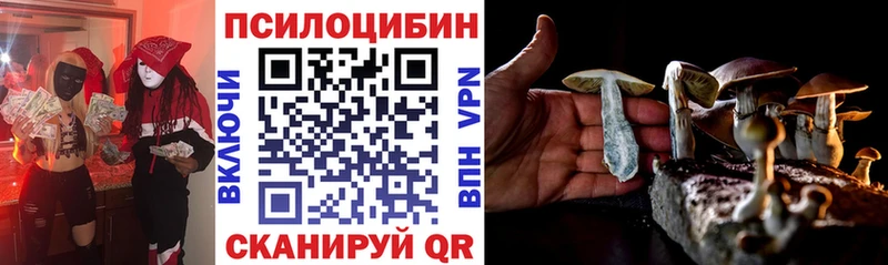Псилоцибиновые грибы Cubensis где найти Сокол