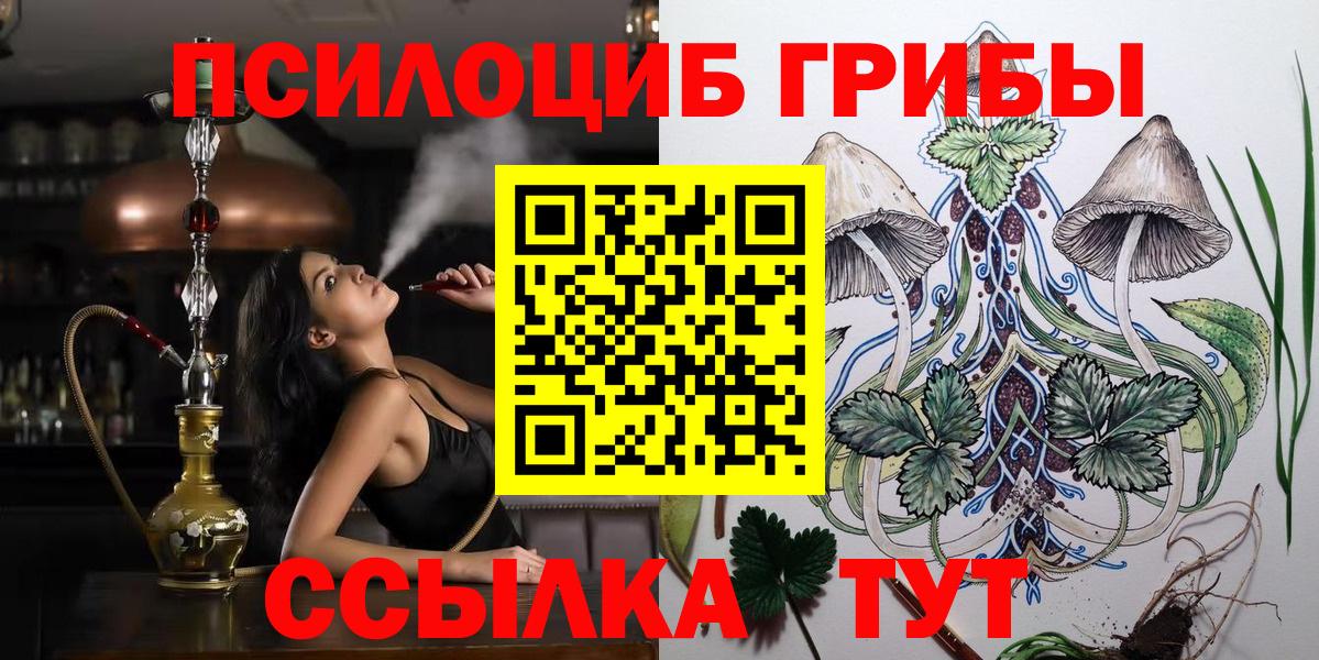 Псилоцибиновые грибы ЛСД Сокол